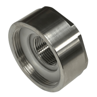 Adaptadores IBC 2" NPS com rosca fêmea BSP (SS)